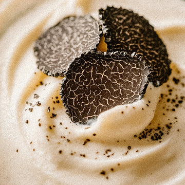 Black Truffles & Amberwood | Cold Air Diffuser Oil