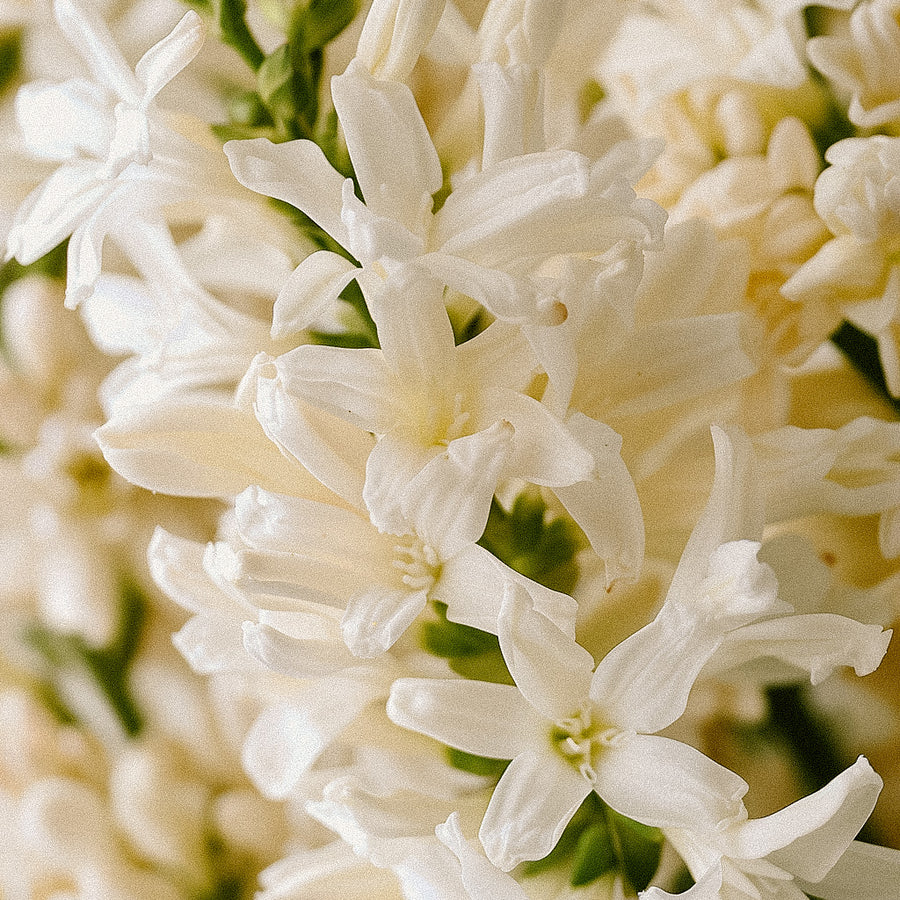 Spanish Tuberose | Eau De Parfum